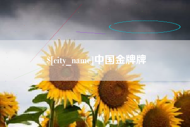 平顶山中国金牌牌