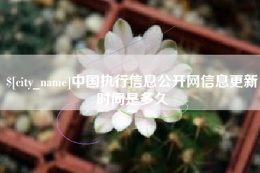 平顶山中国执行信息公开网信息更新时间是多久
