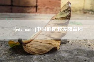 平顶山中国消防救援教育网