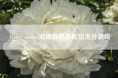 平顶山河南消防学校招生分数线