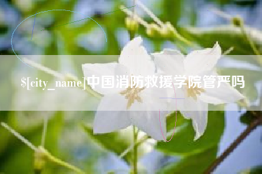 平顶山中国消防救援学院管严吗
