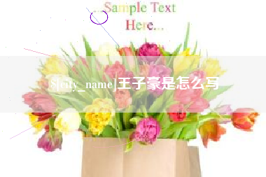 平顶山王子豪是怎么写