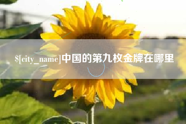 平顶山中国的第九枚金牌在哪里