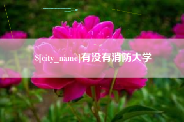 平顶山有没有消防大学