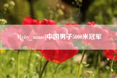 平顶山中国男子5000米冠军