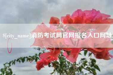平顶山消防考试网官网报名入口网址
