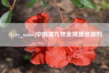 平顶山中国第九枚金牌是谁得的