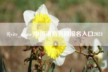 平顶山中国消防官网报名入口2024