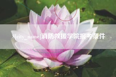 平顶山消防救援学院报考条件