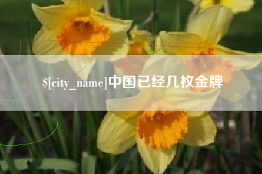 平顶山中国已经几枚金牌