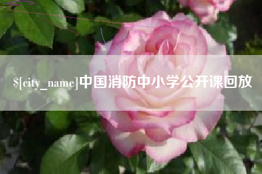 平顶山中国消防中小学公开课回放