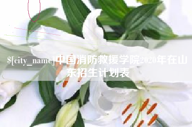 平顶山中国消防救援学院2020年在山东招生计划表