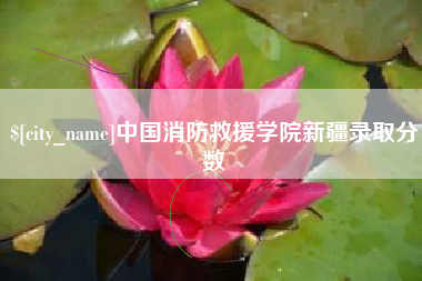 平顶山中国消防救援学院新疆录取分数