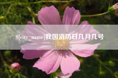平顶山我国消防日几月几号