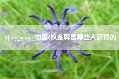 平顶山中国6枚金牌是哪些人获得的