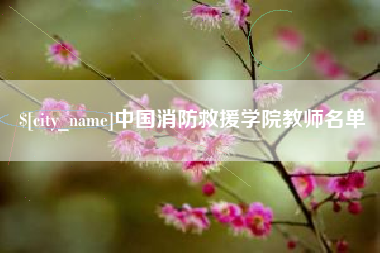 平顶山中国消防救援学院教师名单