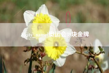 平顶山奥运会39块金牌