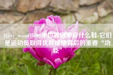 平顶山5000米世界冠军穿什么鞋-它们是运动员取得优异成绩背后的重要“功臣”