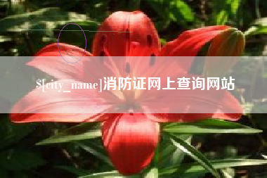 平顶山消防证网上查询网站
