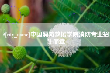 平顶山中国消防救援学院消防专业招生简章