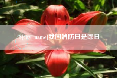 平顶山我国消防日是哪日