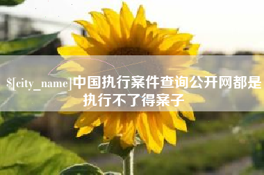平顶山中国执行案件查询公开网都是执行不了得案子