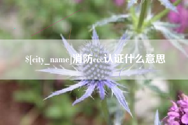 平顶山消防ccc认证什么意思