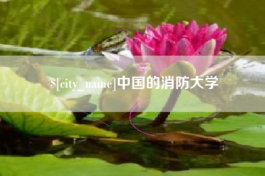 平顶山中国的消防大学