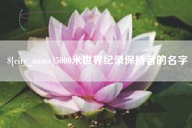 平顶山5000米世界纪录保持者的名字