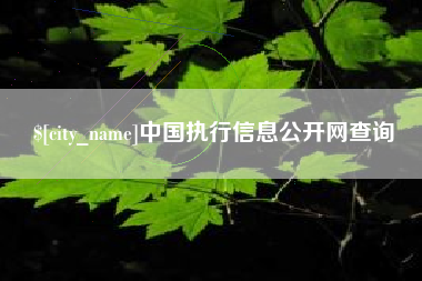 平顶山中国执行信息公开网查询