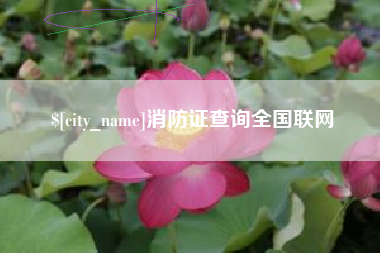平顶山消防证查询全国联网