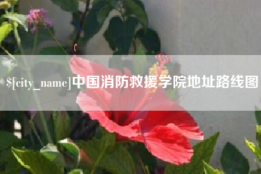 平顶山中国消防救援学院地址路线图