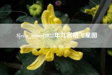 平顶山2022年九宫格飞星图