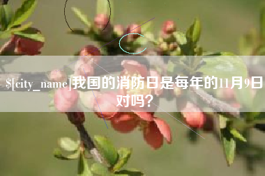 平顶山我国的消防日是每年的11月9日对吗？