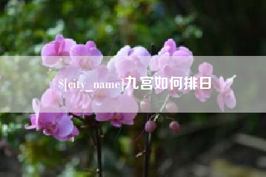 平顶山九宫如何排日