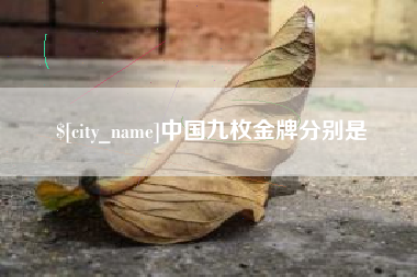 平顶山中国九枚金牌分别是