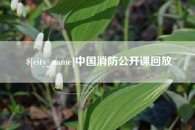 平顶山中国消防公开课回放