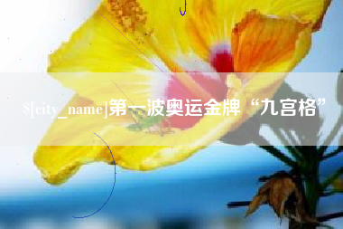 平顶山第一波奥运金牌“九宫格”