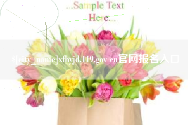 平顶山xfhyjd.119.gov cn官网报名入口