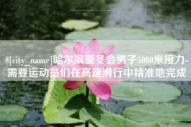 平顶山哈尔滨亚冬会男子5000米接力-需要运动员们在高速滑行中精准地完成