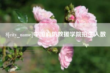 平顶山中国消防救援学院招生人数