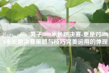 平顶山男子5000米长跑决赛-更是对5000米长跑决赛策略与技巧完美运用的体现