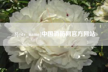 平顶山中国消防网官方网站