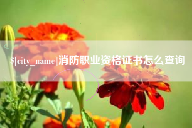 平顶山消防职业资格证书怎么查询
