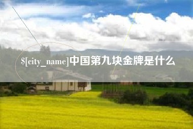 平顶山中国第九块金牌是什么