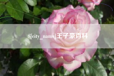 平顶山王子豪百科