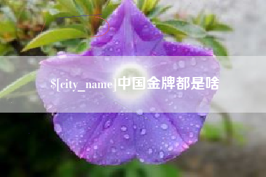 平顶山中国金牌都是啥
