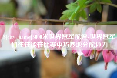 平顶山5000米世界冠军配速-世界冠军们往往能在比赛中巧妙地分配体力