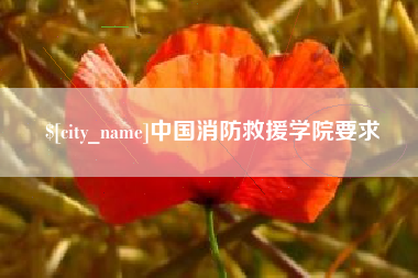 平顶山中国消防救援学院要求