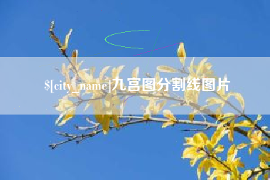 平顶山九宫图分割线图片